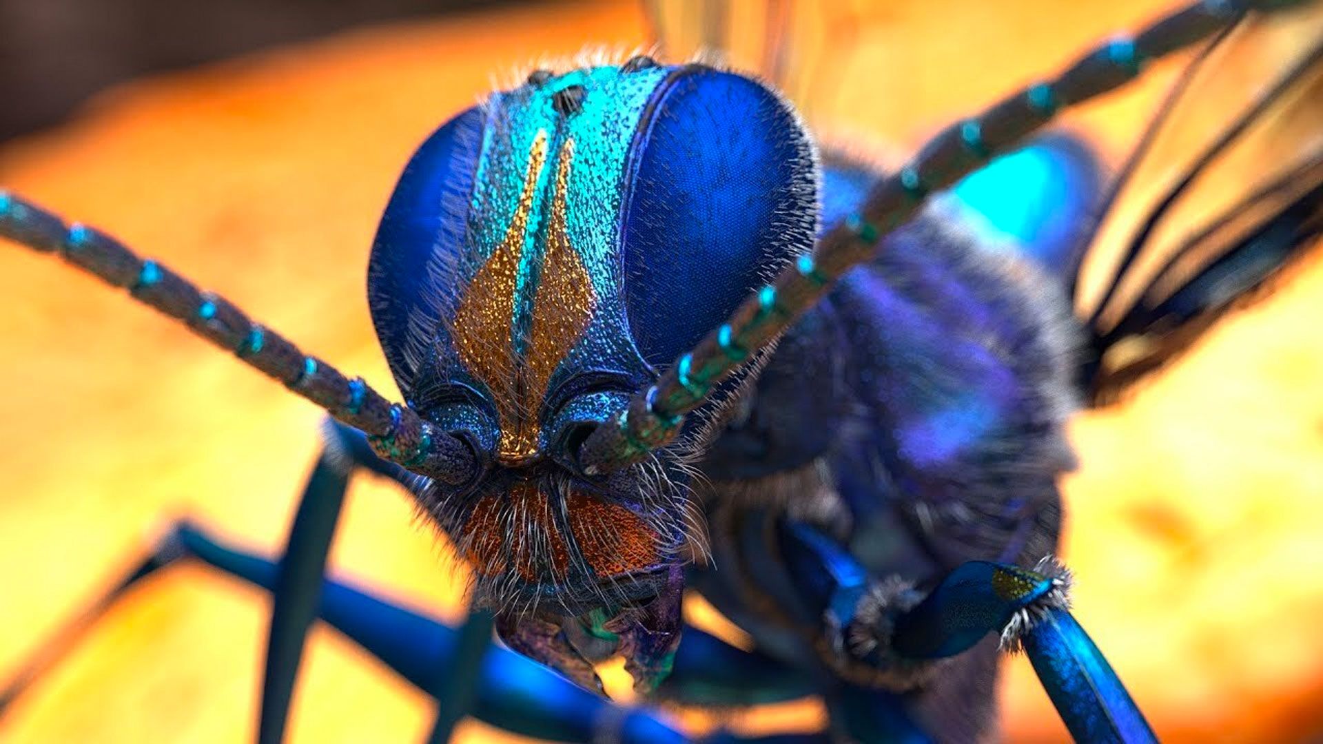 Hyper-real Insect Design